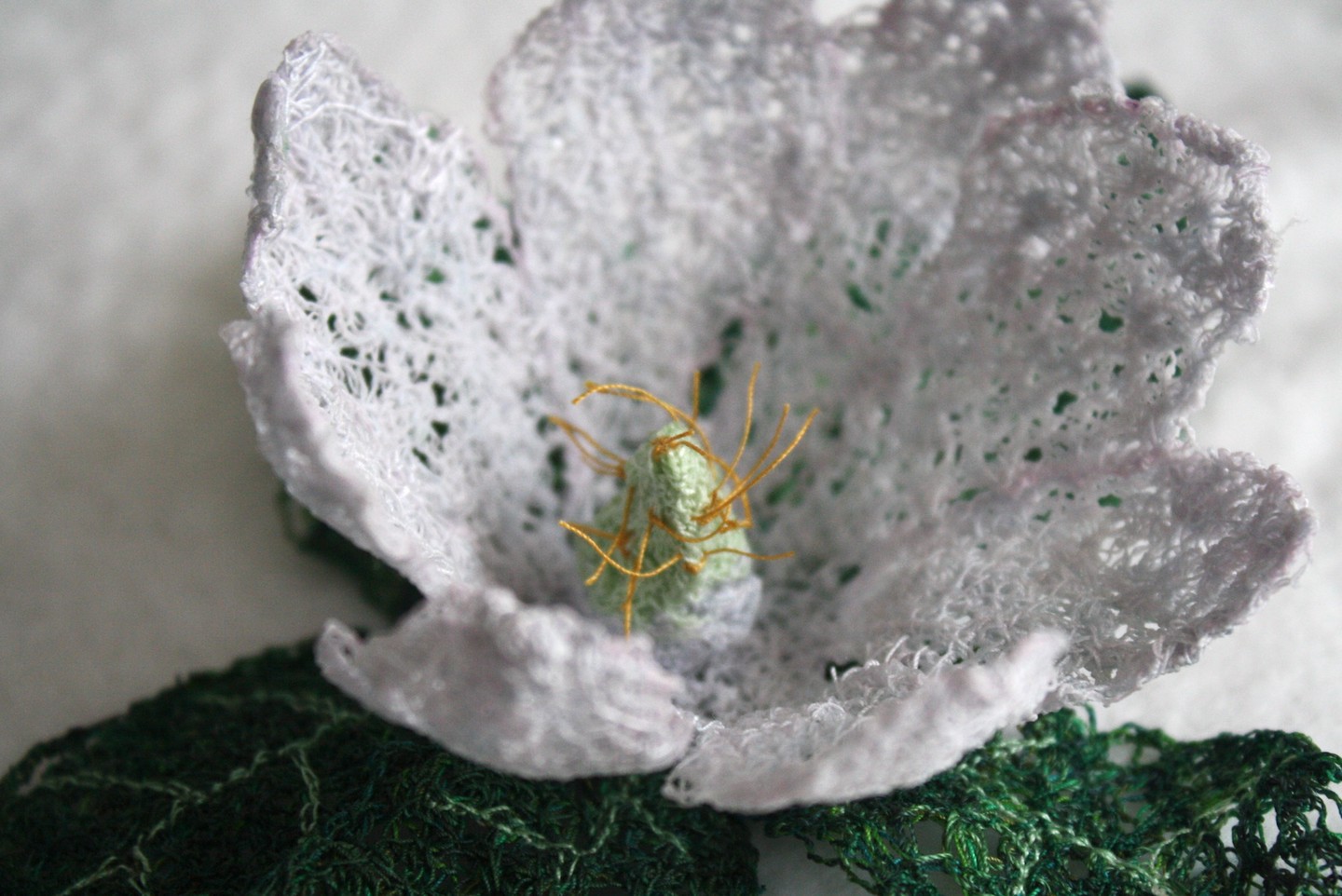 Detail of flower parts